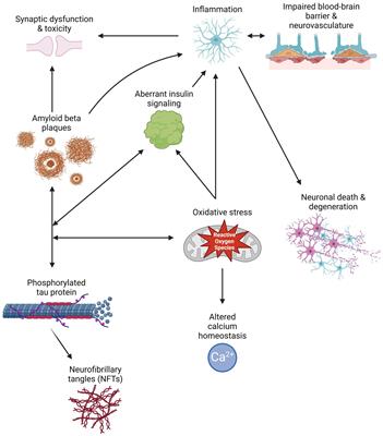 Epigenetic modifications of DNA and RNA in Alzheimer’s disease